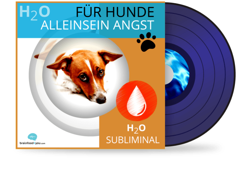 h2o - hunde - alleinsein angst album - h2o silent subliminal für Hunde