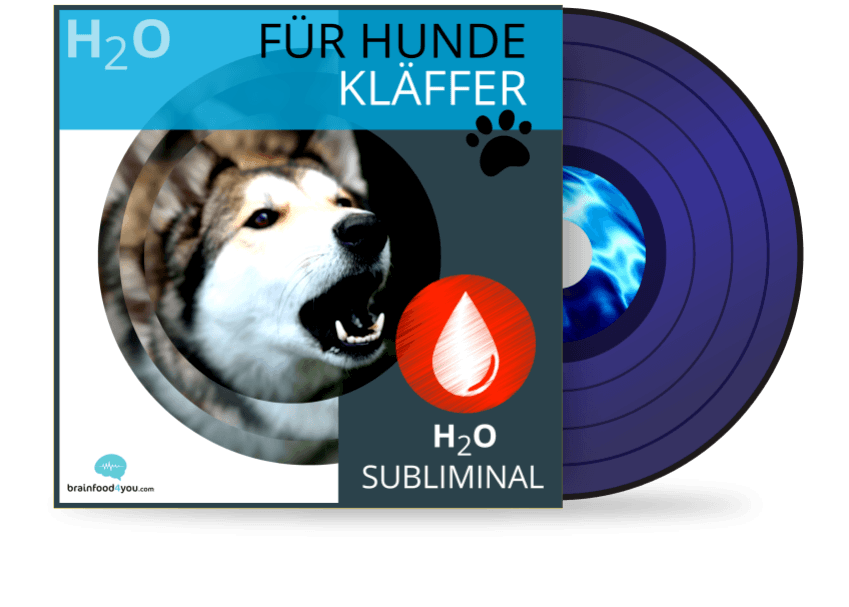 h2o - hunde - kläffer album - h20 silent subliminal
