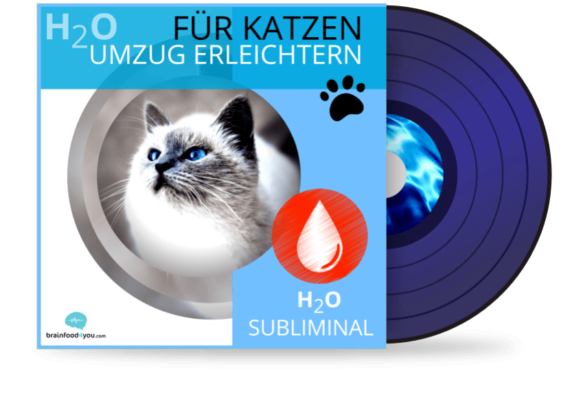 h2o - katzen - umzug erleichtern - h2o silent subliminal