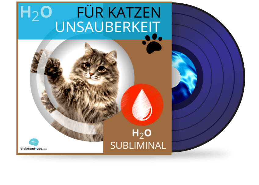h2o - katzen - unsauberkeit album - h2o silent subliminal