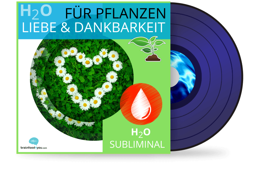 h2o - pflanzen - liebe & dankbarkeit album