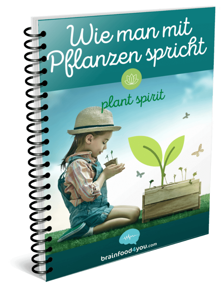 eBook - Wie man mit Pflanzen spricht - Plant Spirit
