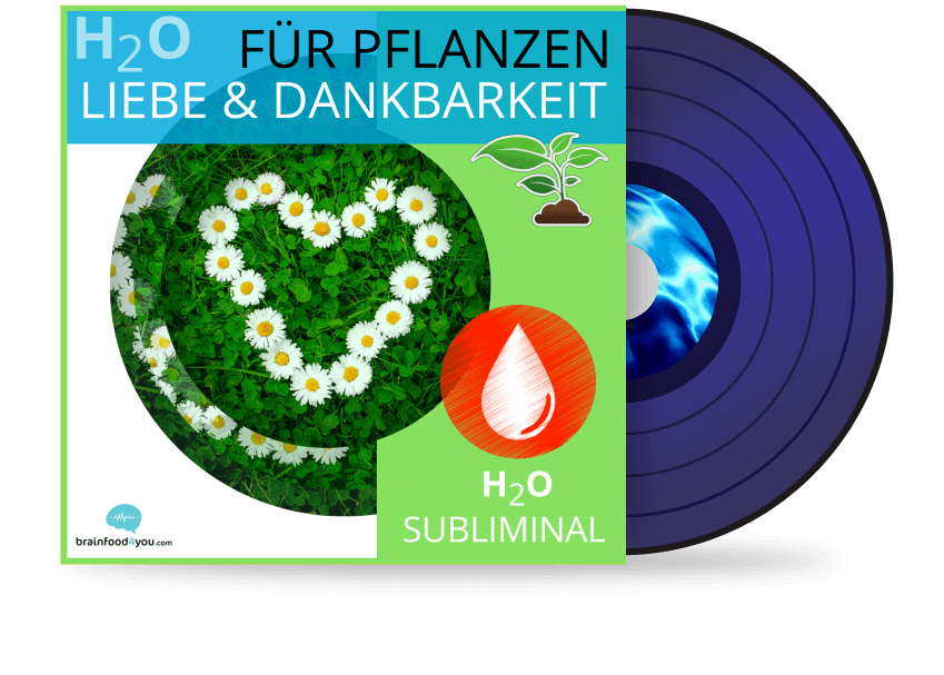 h2o - pflanzen - liebe & dankbarkeit - h2o silent subliminal
