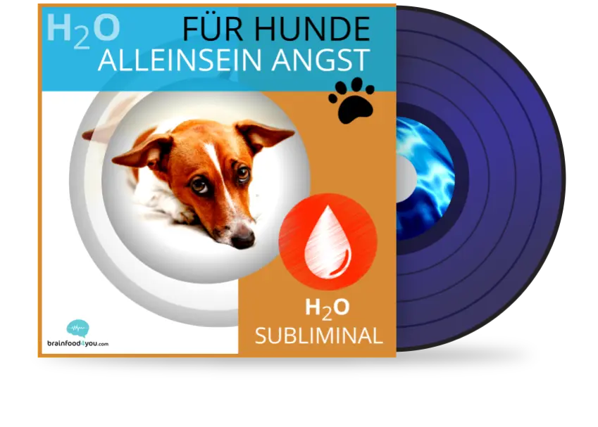 h2o - hunde - alleinsein album - h2o silent subliminal für hunde